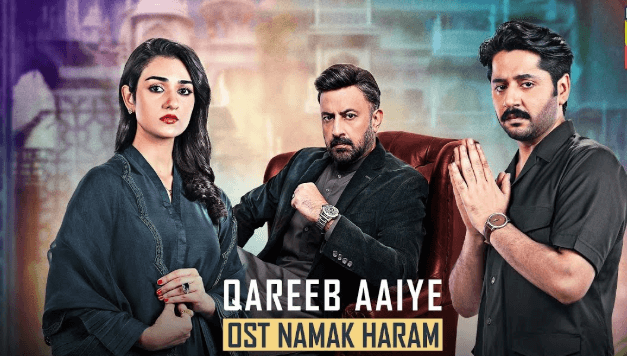 Namak Haram Drama Cast